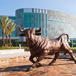 sober living | Real Recovery Education Opportunities at the University of South Florida Marshall Student Center