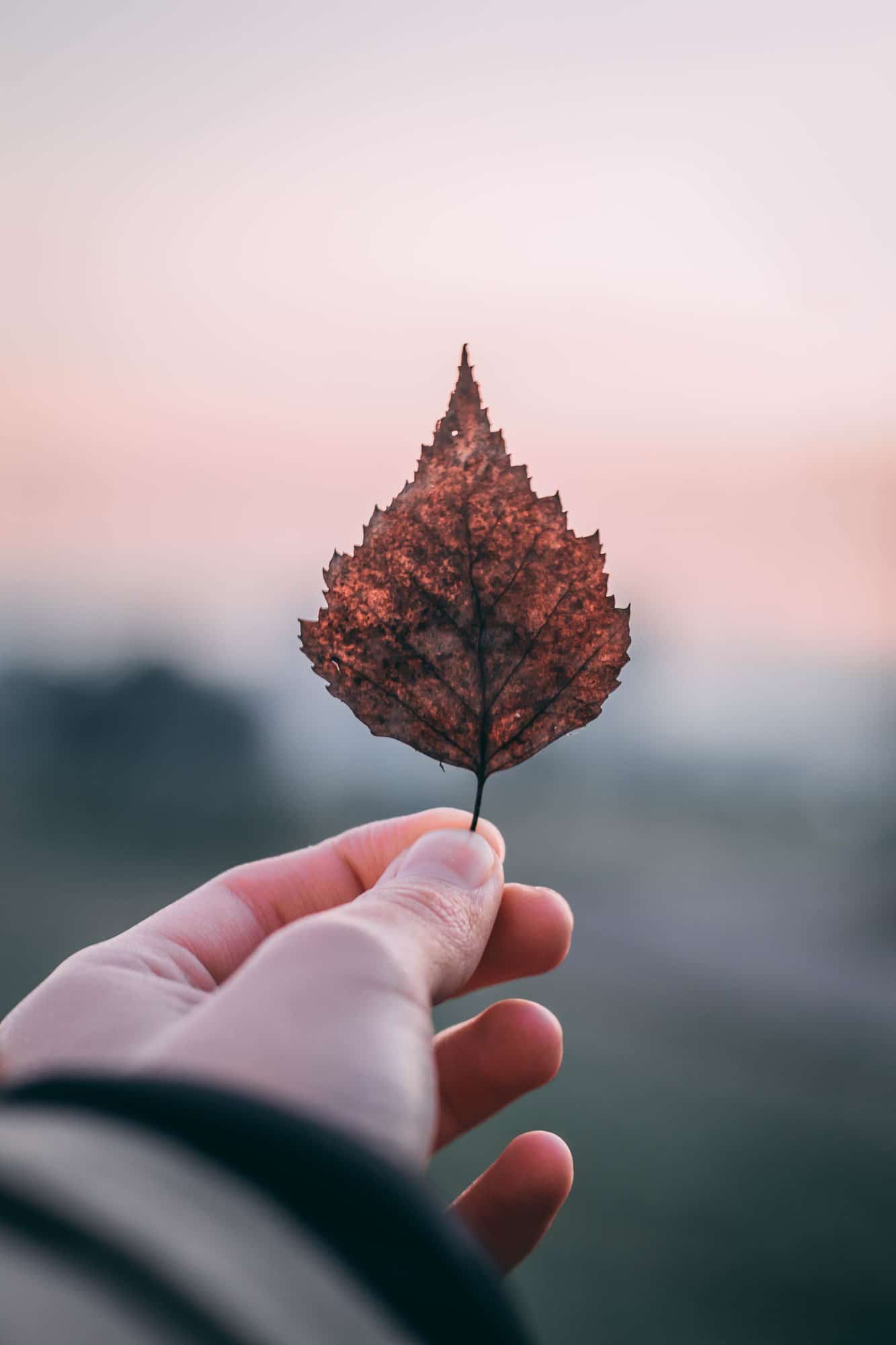 Regaining Trust NOW During Recovery: 10 Ways Addiction Fractures Relationships