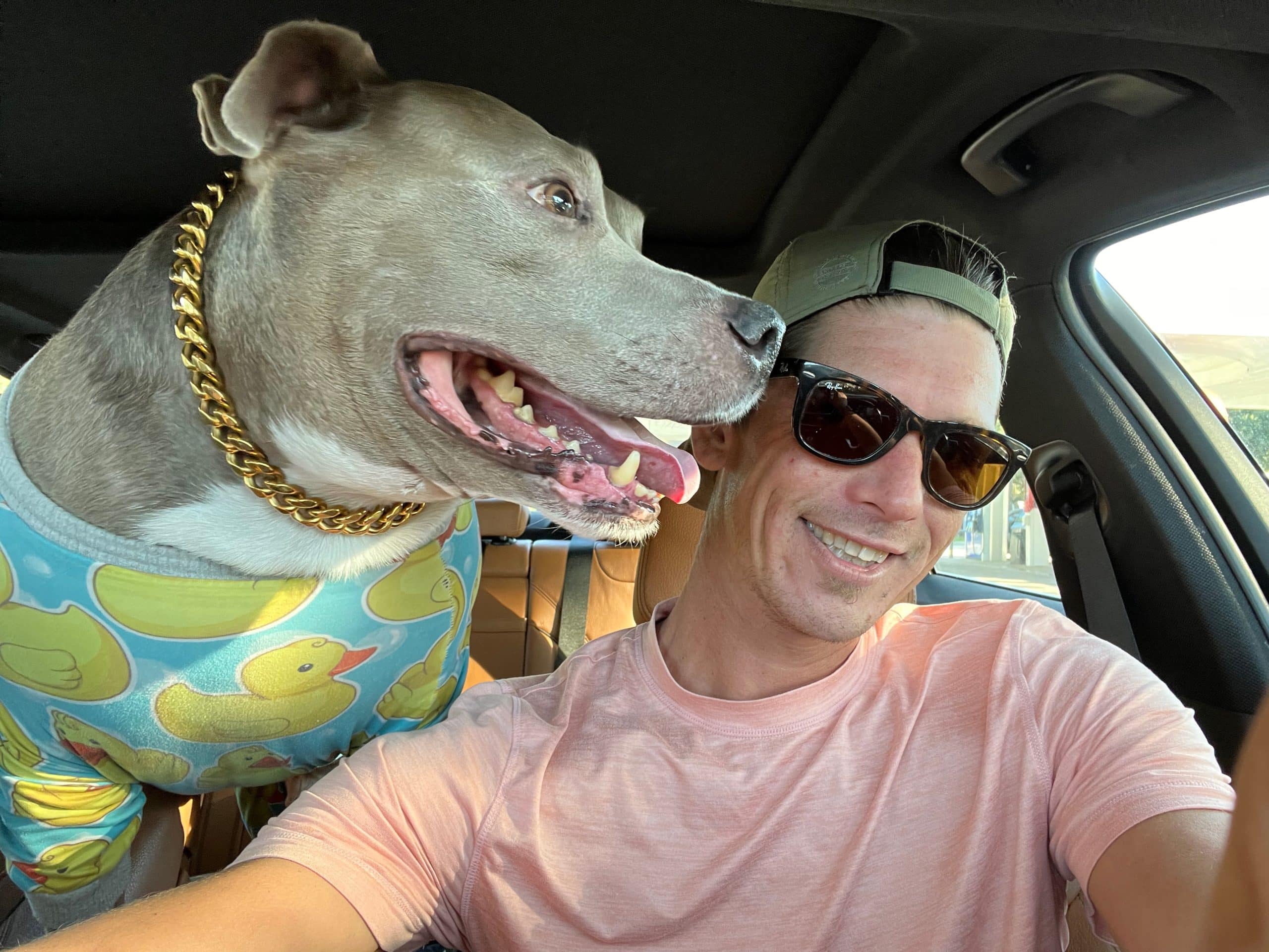 | 32022151 03D0 4816 A08C F28D0EC56AFC scaled